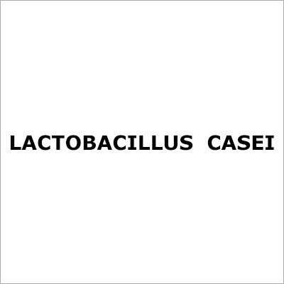 Lactobacillus  Casei