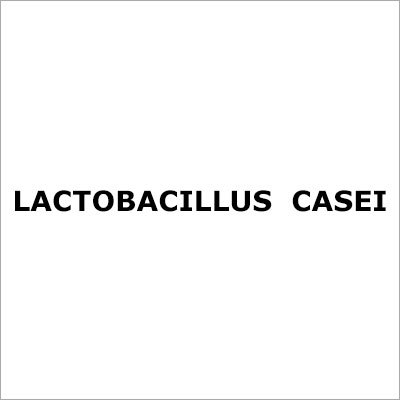 Lactobacillus Casei