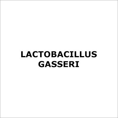 Lactobacillus Gasseri