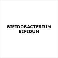 Bifidobacterium Bifidum - Chemical Bacteria Acid Formulation | Ideal For Digestive Health And Gut Biome Support