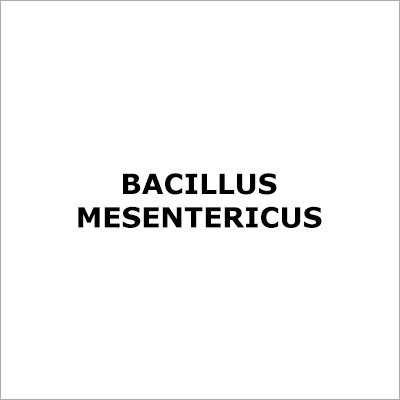 Bacillus Mesentericus