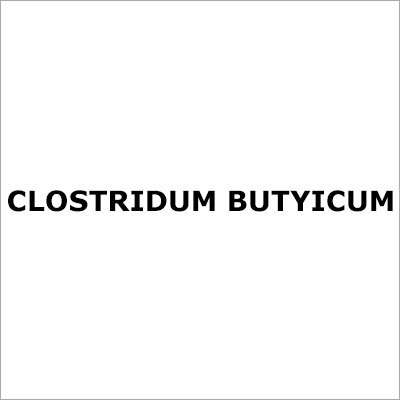 Clostridum Butyicum