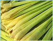 Lemongrass Oil