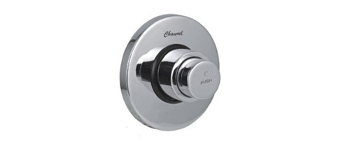 Sleek Flush Valve Push Type