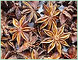 STAR ANISE OIL