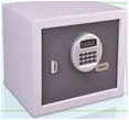 Digital Display Safe