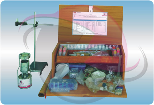 Science & Math Kit