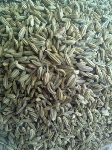 Fresh Anise Seeds