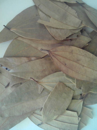 Bay Leaf