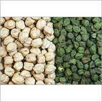 White And Green Chickpeas