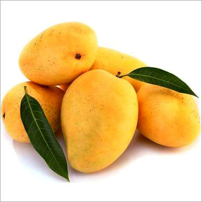 Alphonso Mango