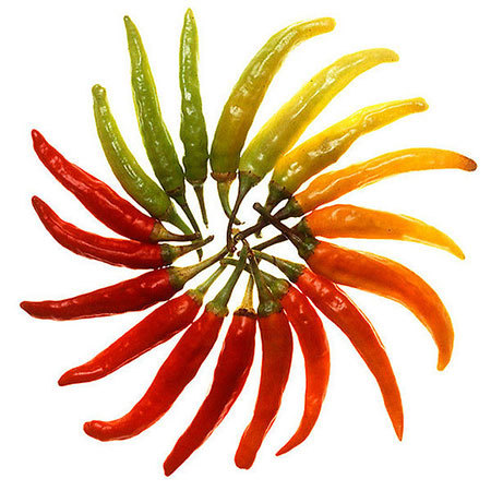 Red Chilly