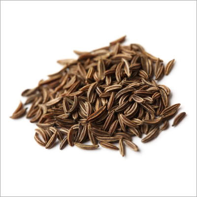 Fresh Cumin Seeds