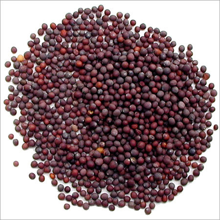Mustard Seed