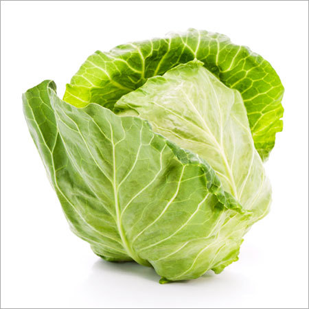 Fresh Cabbage