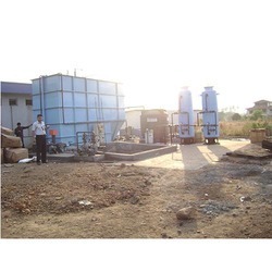 Water Plant