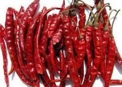 Dry Chillies
