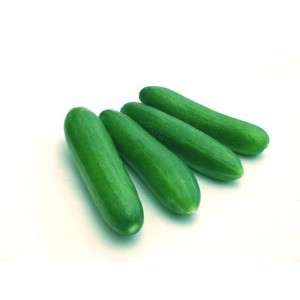 Cucumber