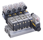 Gang Manifold - Exel Valves