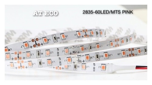 Led Strip