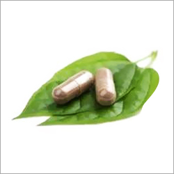Garcinia Cambogia Extract
