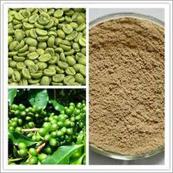 Green Coffee Bean Extract