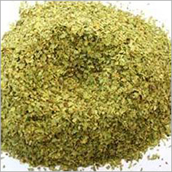 Senna T Cut Leaves