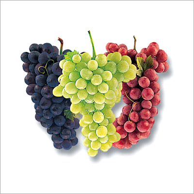 Fresh Grapes