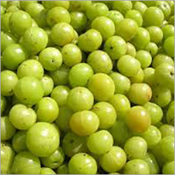 Indian Gooseberry