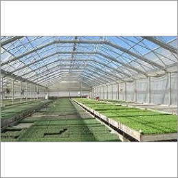 Green House - HOPE Material, Customizable Sizes from 100-10000 Sq.m, Features Six Air Packets, Easy Installation, Higher Yields, Controlled Environment, Tubular Structure