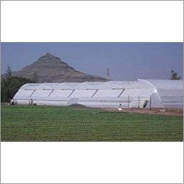 Green House