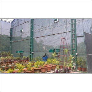 Green House