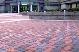Paving Expert
