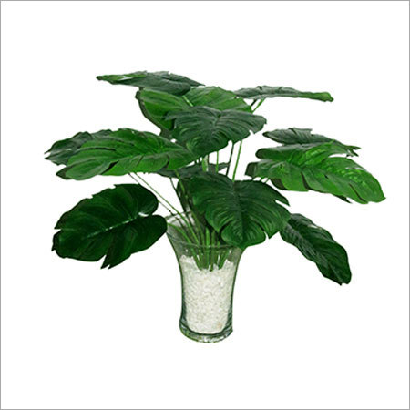 Artificial Plants & Trees