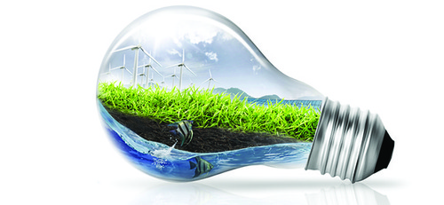 Electrical LED Bulbs