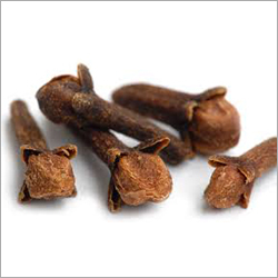 Clove Spice
