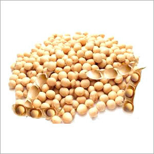 Soyabean Seed