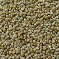 Green Millet