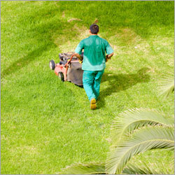Garden Lawn Maintenance Services