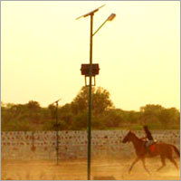 CFL Solar Street Light