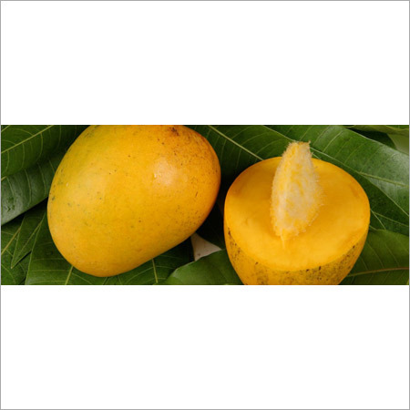 Alphonso Mangoes