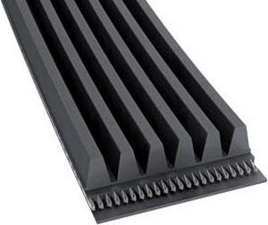 Ribbed Belts