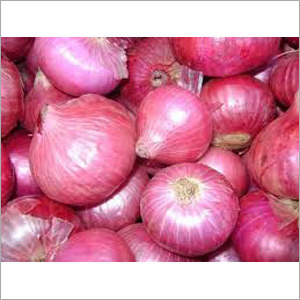 Farm Fresh Red Onions