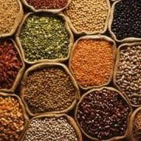 All other Organic Grain and organic Pulses