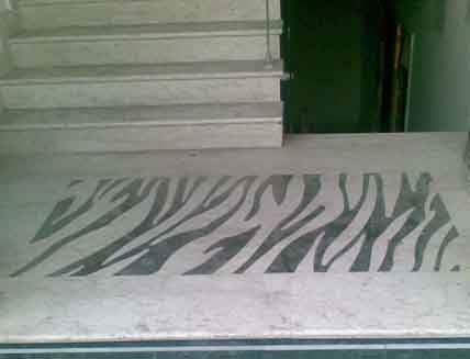 Inlay Stainless Steel - Stainless Steel, 1-3mm Thickness, Zebra Pattern | Durable, Elegant, Customizable, Stylish, Resistant, Etched Finish