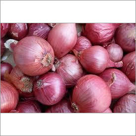 Indian Onion