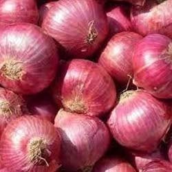 Fresh Onion