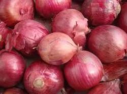 Big Onion