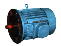 Flange Mounted Electric Motor