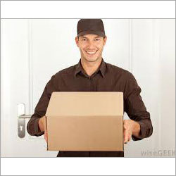 Professional Courier Person